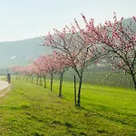 Mandelbluete Apartamento Gleiszellen-Gleishorbach