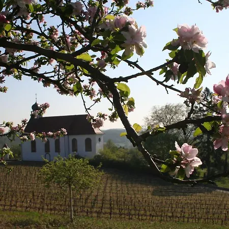 Appartement Mandelbluete Gleiszellen-Gleishorbach