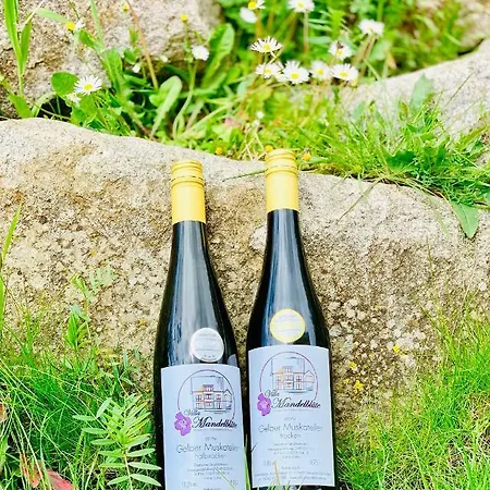 Mandelbluete * Gleiszellen-Gleishorbach