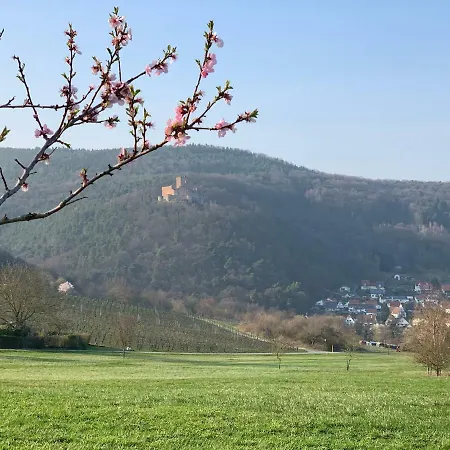 Apartment Mandelbluete Gleiszellen-Gleishorbach