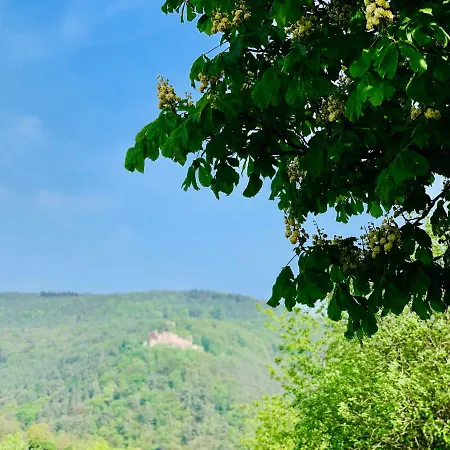 Mandelbluete Appartement