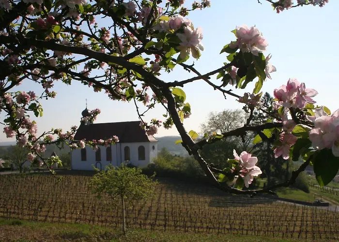 아파트 Mandelbluete 글라이스젤렌글라이쇼르바흐