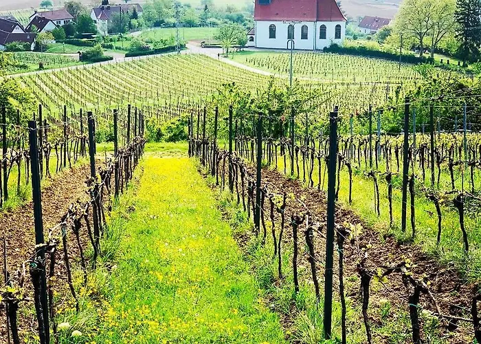 Apartamento Mandelblüte *