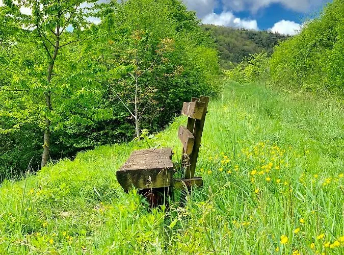 Mandelbluete Appartement