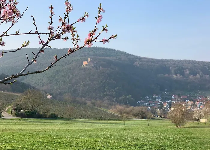 아파트 Mandelbluete 글라이스젤렌글라이쇼르바흐