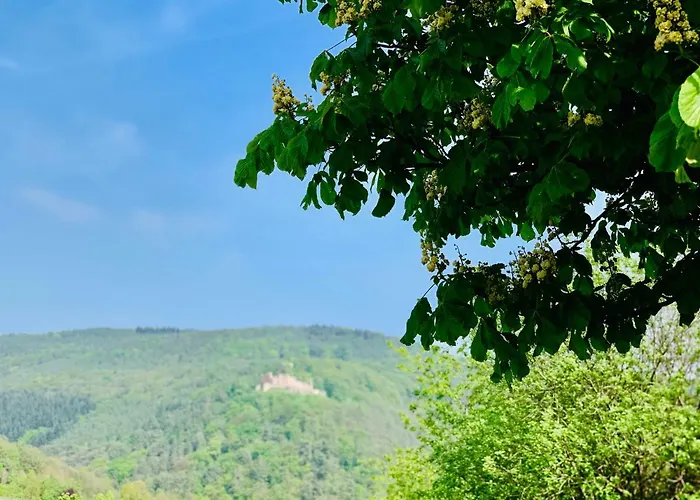 Mandelbluete Appartement